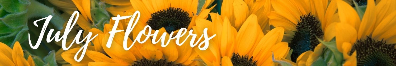 July flower banner